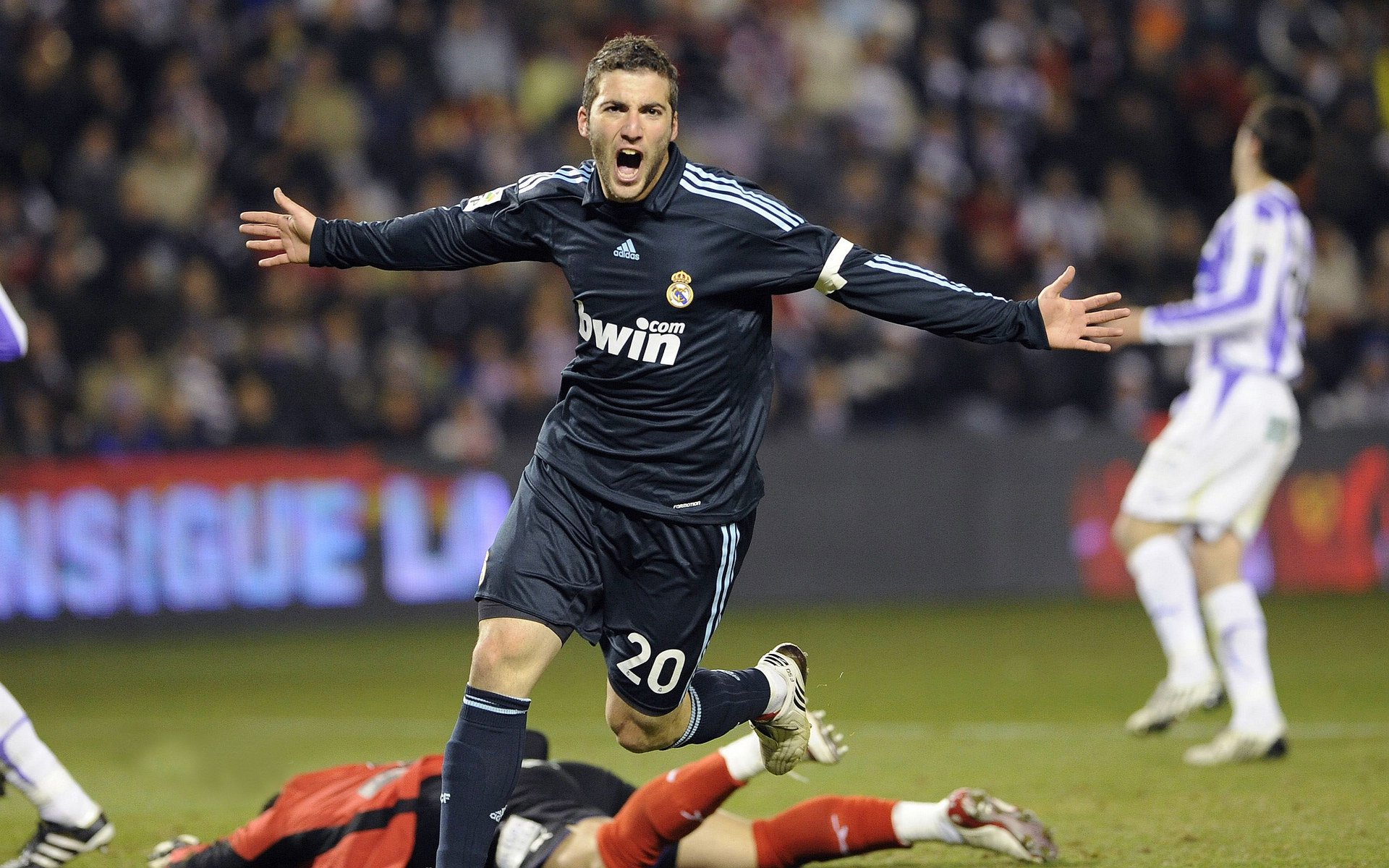 2026体育赛季焦点，新赛季体育